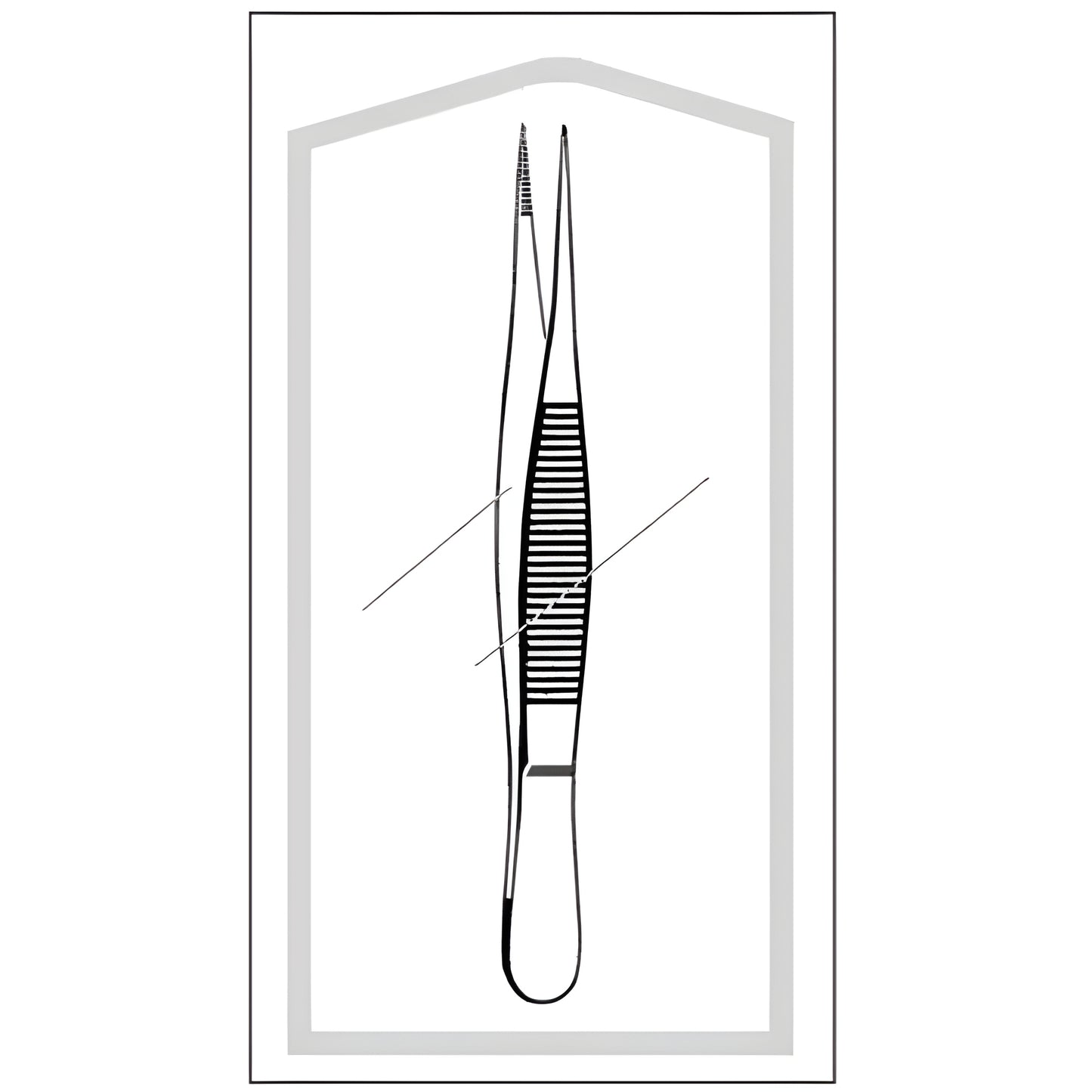 Splinter Forceps Econo Sterile 4-1/2 Inch
