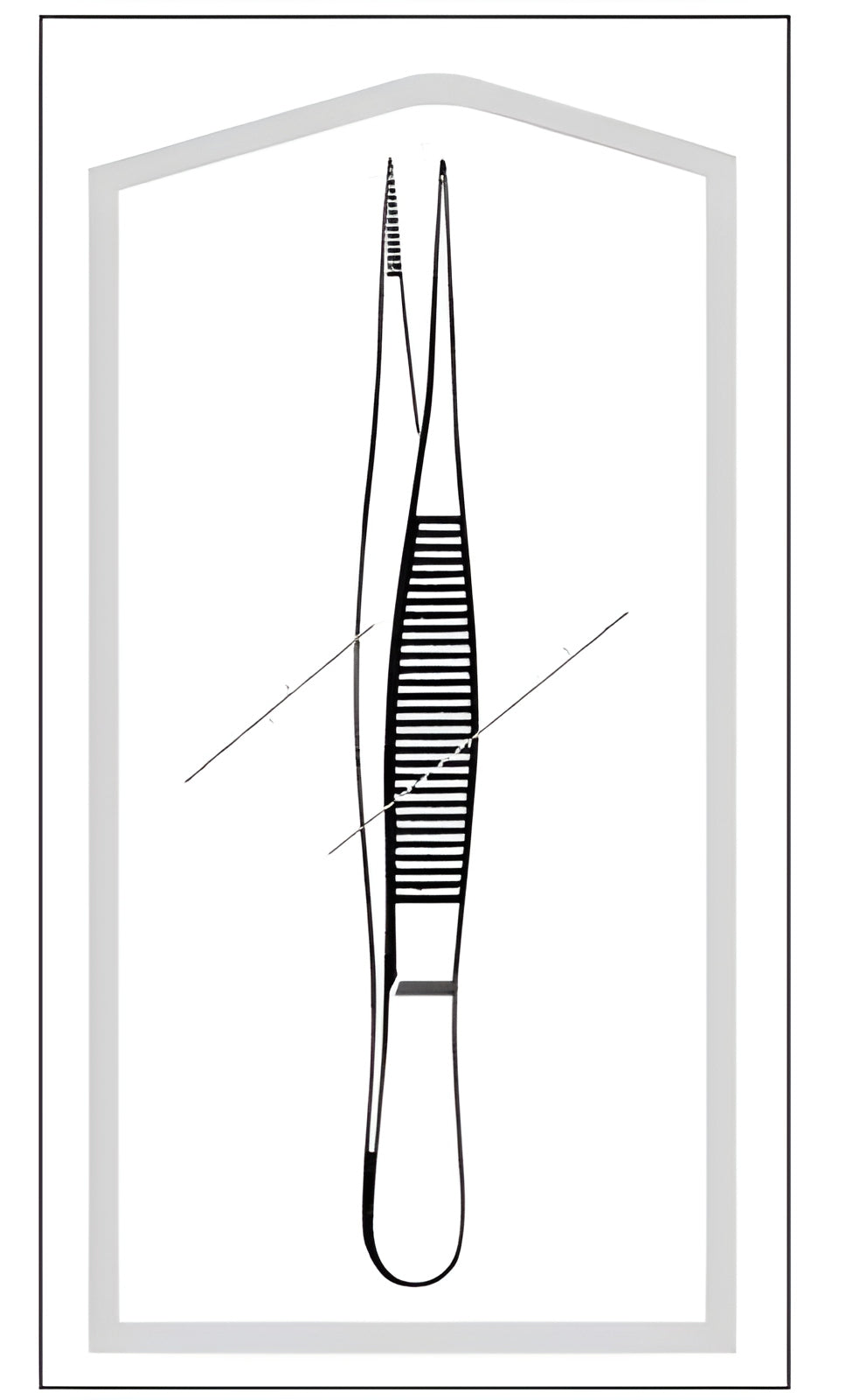 Splinter Forceps Econo Sterile 3-1/2 Inch