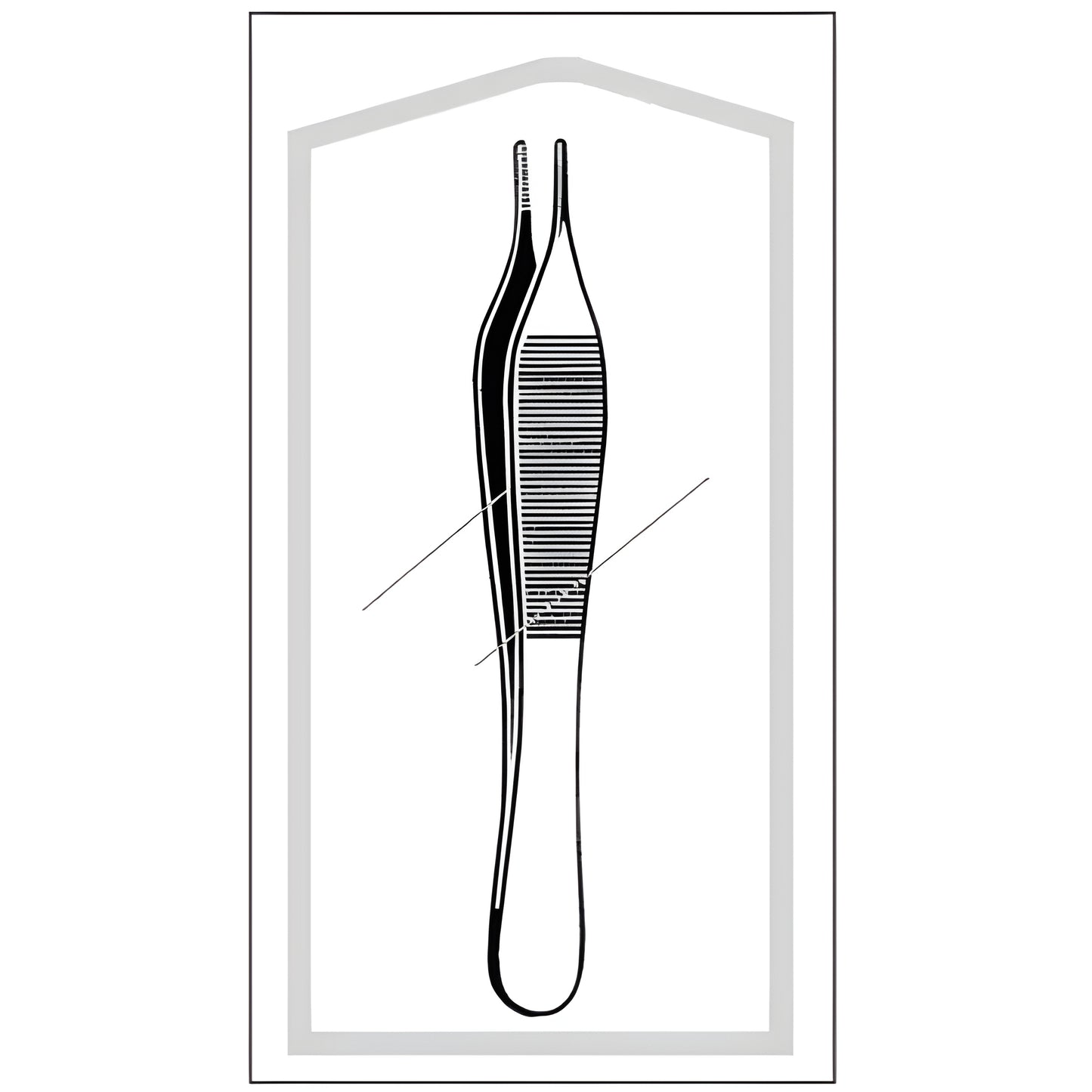 Dressing Forceps Econo Sterile Adson 4-3/4 Inch