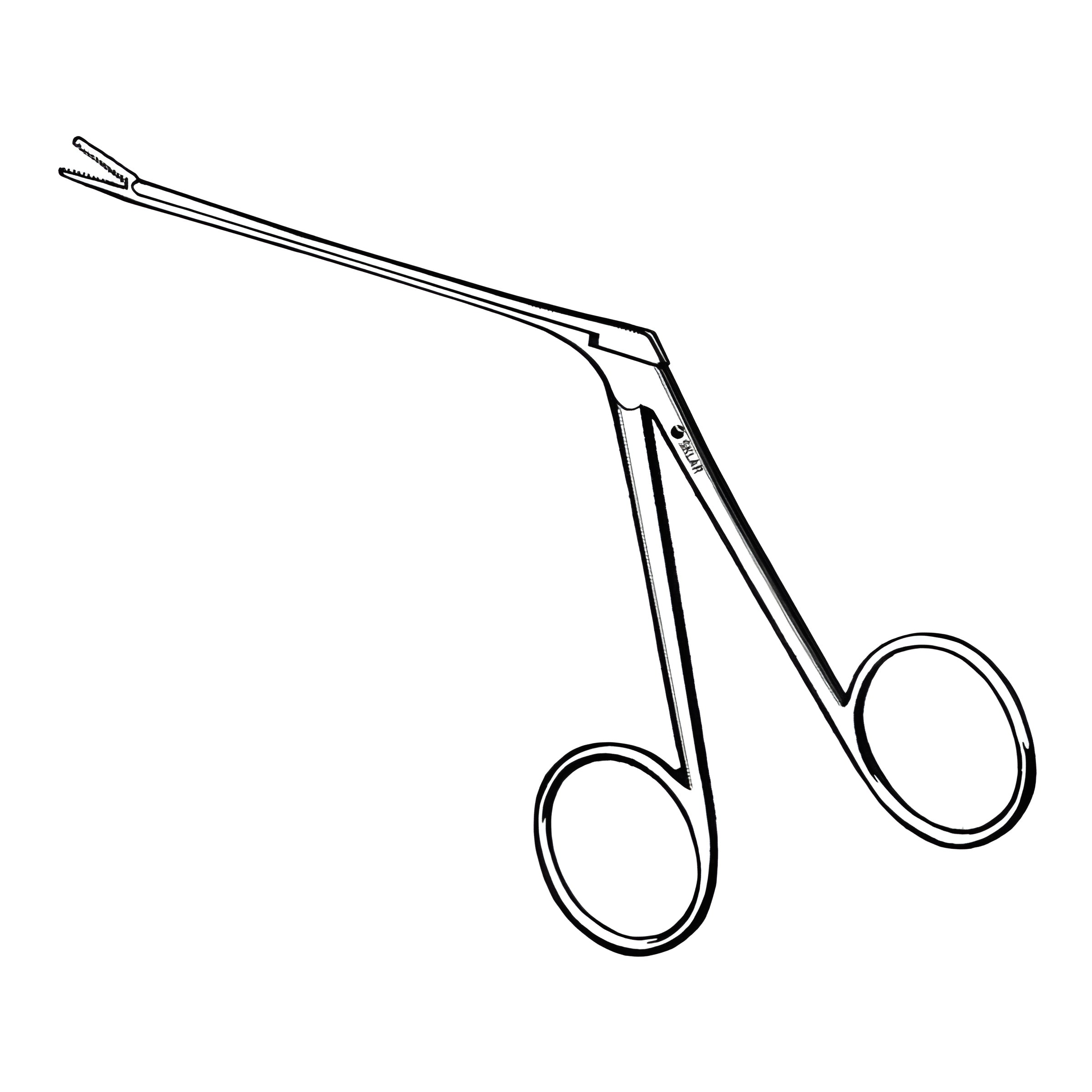 Alligator Forceps Econo Sterile 3-1/2 Inch