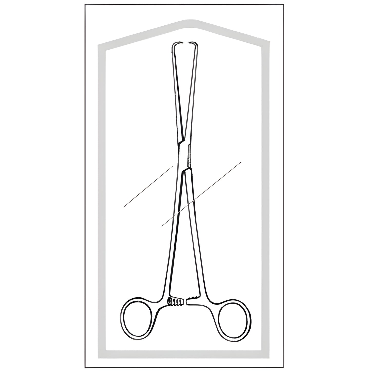Tenaculum Forceps Econo Sterile Schroeder 10 Inch