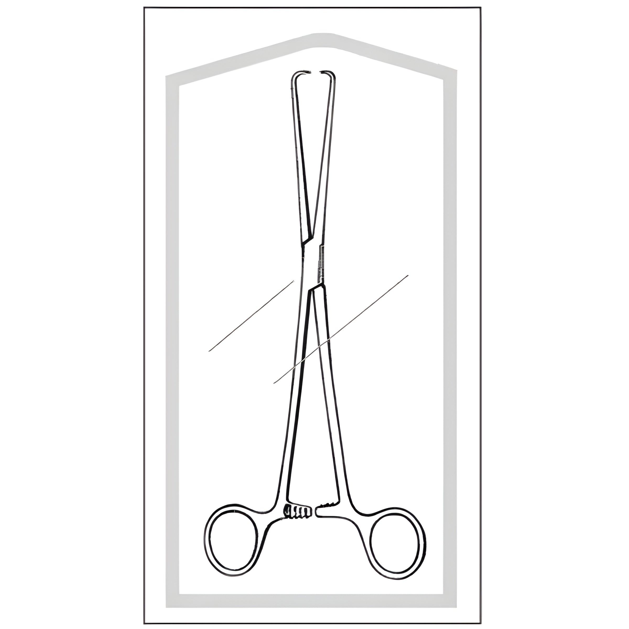 Tenaculum Forceps Econo Sterile Schroeder 10 Inch