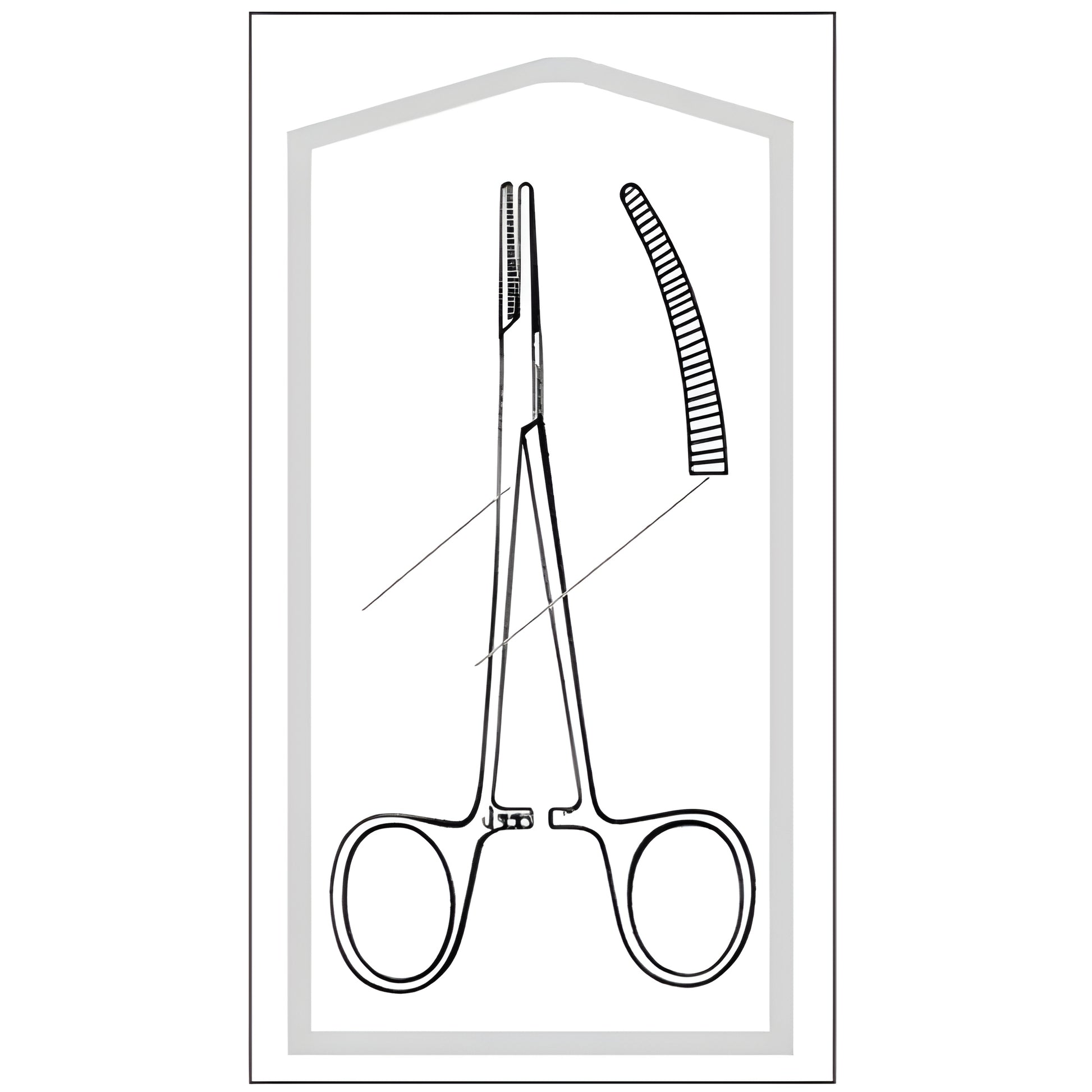 Mosquito Forceps Econo Sterile Halsted 5 Inch