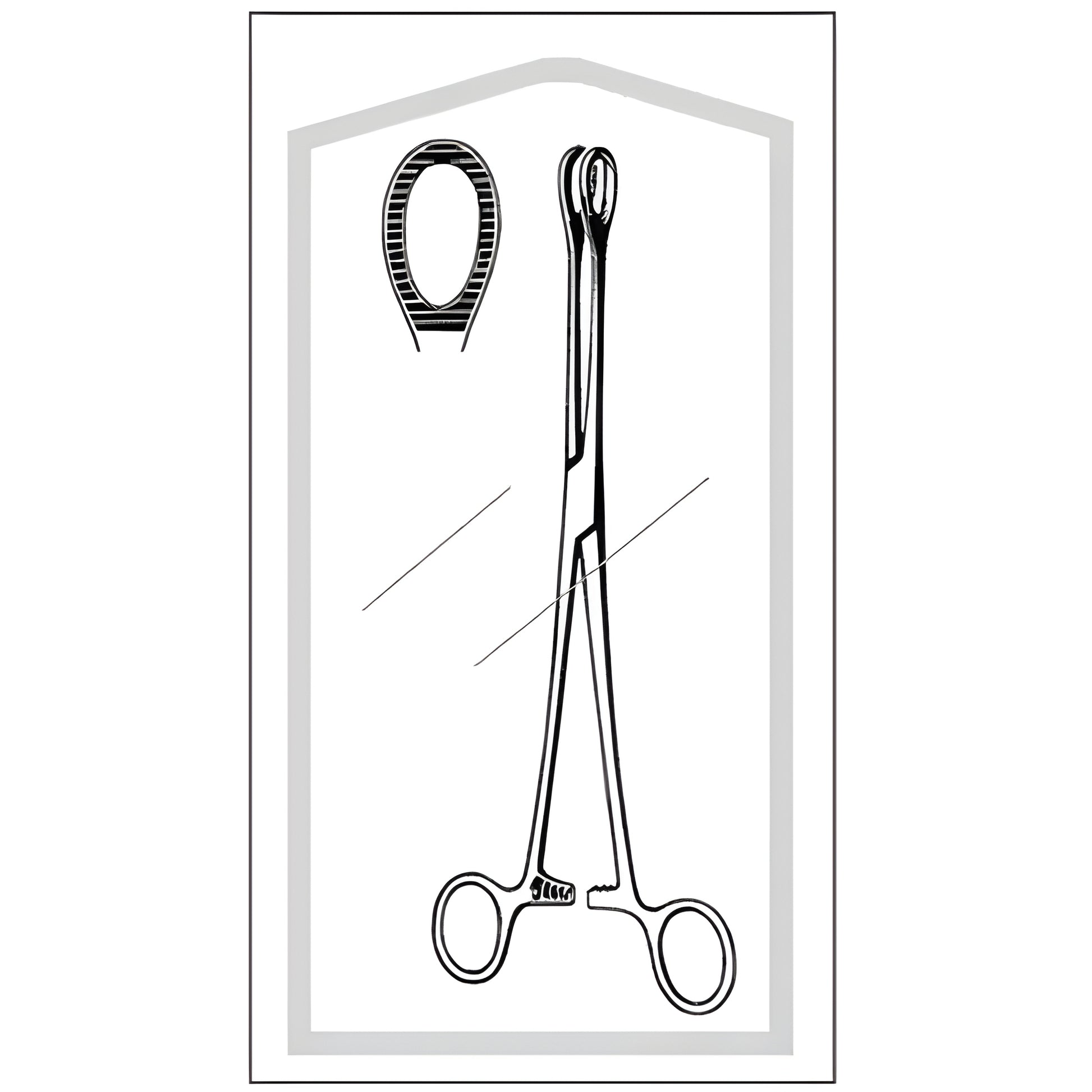 Sponge Forceps Econo Sterile Foerster-Ballenger 9-1/2 Inch