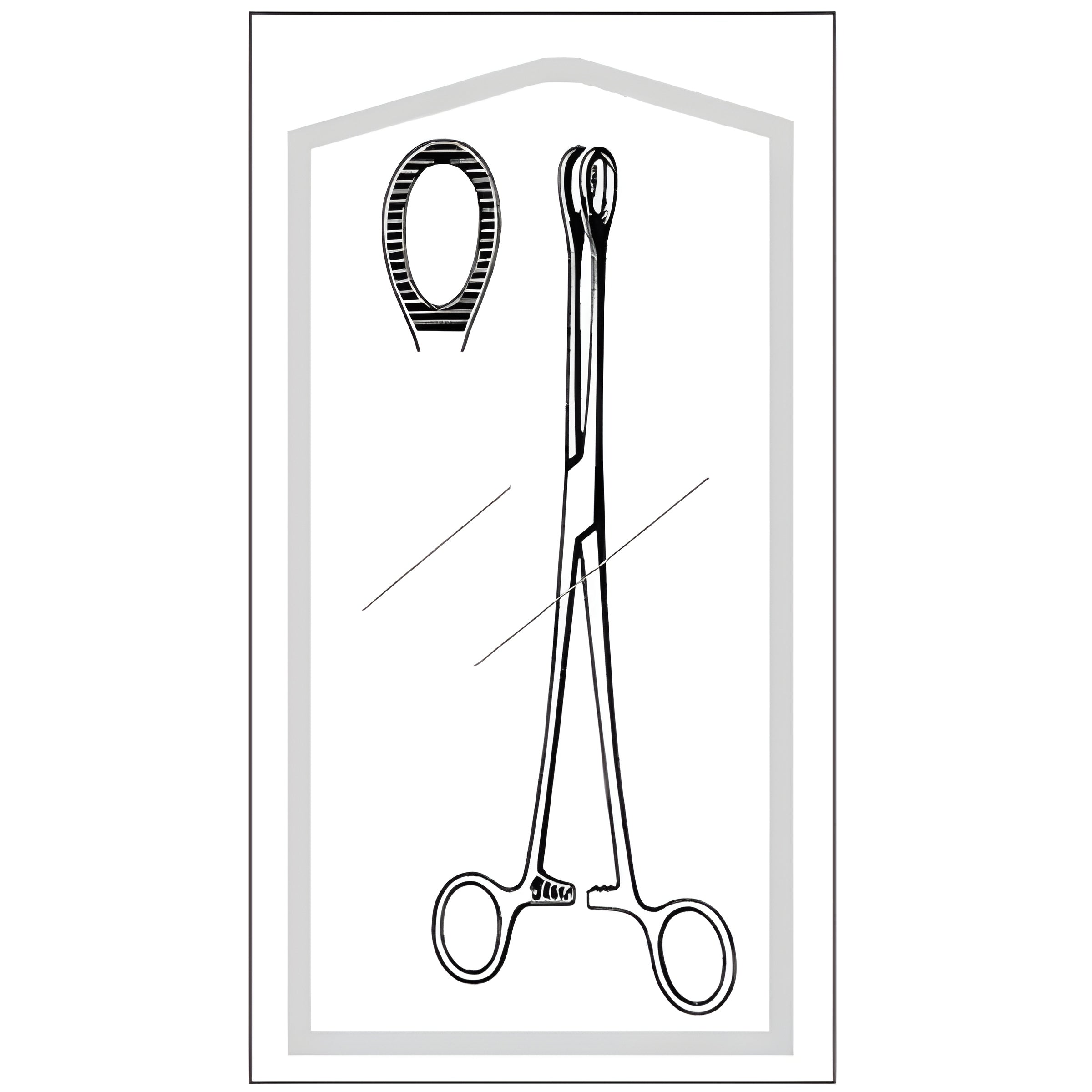 Sponge Forceps Econo Sterile Foerster-Ballenger 9-1/2 Inch