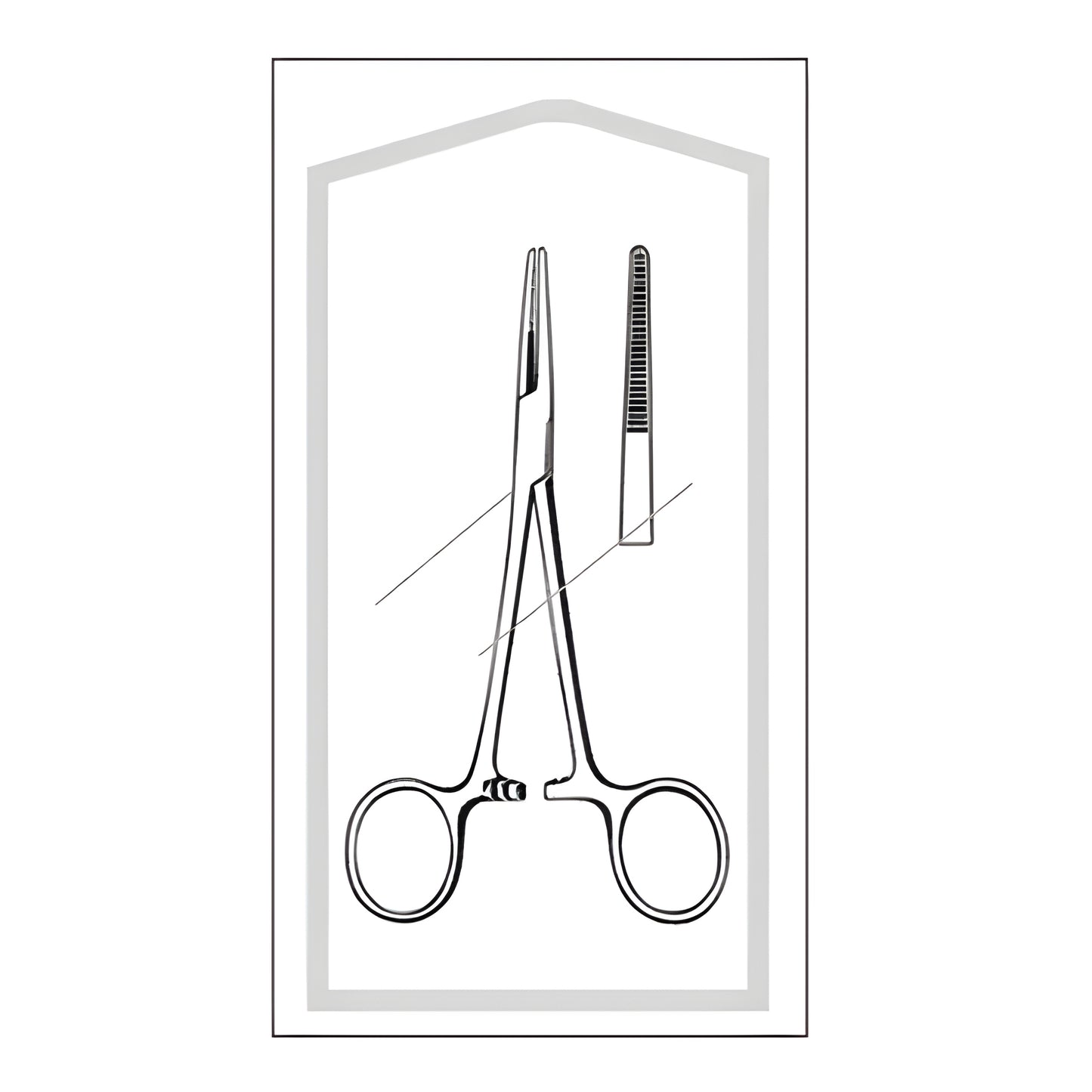 Hemostatic Forceps Econo Sterile Kelly 5-1/2 Inch